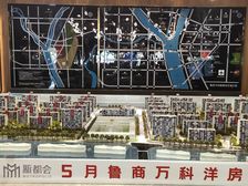 鲁商万科新都会3室2厅南北