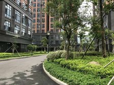 凤翔商务公馆 3室2厅 西南