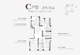 臻园5室2厅1厨3卫建面275.72㎡