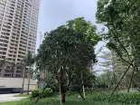 小区环境