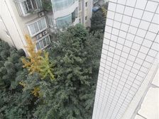 新广场旁,精装五房+150平花园平台,诚心出售!!!