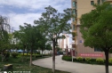 东立开泰园实景图