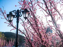 汇贤云玺法系建筑前排5顶城堡,带露台