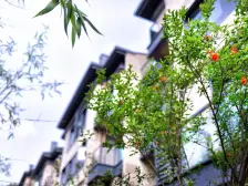 龙洲湾 阳光100阿尔勒二期三房78万