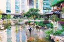 振兴江山赋实景图