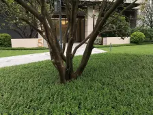 央企次新楼盘 朝南向 中高楼层 全新四房 拎包入住