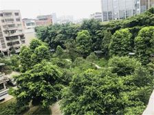 邮电小区3室2厅东南