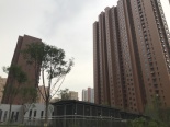 竣工楼栋实景图