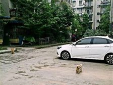 王河园二号小区 4室2厅 东南