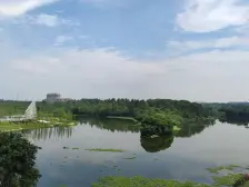 佣金3666元 双福片区 蓝光鹭湖长岛三房39万