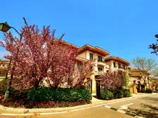 70年产权 海边精装大花园别墅 装修很好