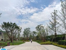 蓝光鹭湖长岛 2室1厅 南