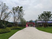 朝向南 楼层好 视野宽阔 采光充足 配套设施齐全