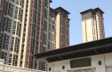 樱花苑实景图