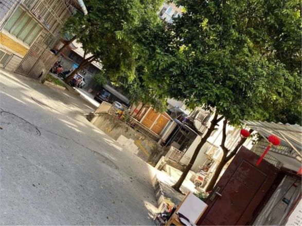 柏杨苑实景图