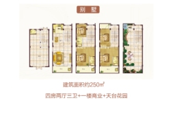 荟翠侨城4室2厅1厨3卫建面250.00㎡