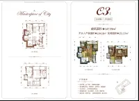 洋房C3户型