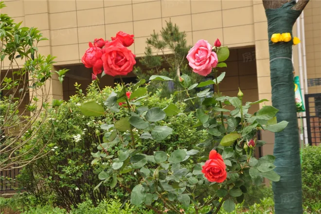 【咸阳塞纳绿洲小区,二手房,租房】- 咸阳房天下