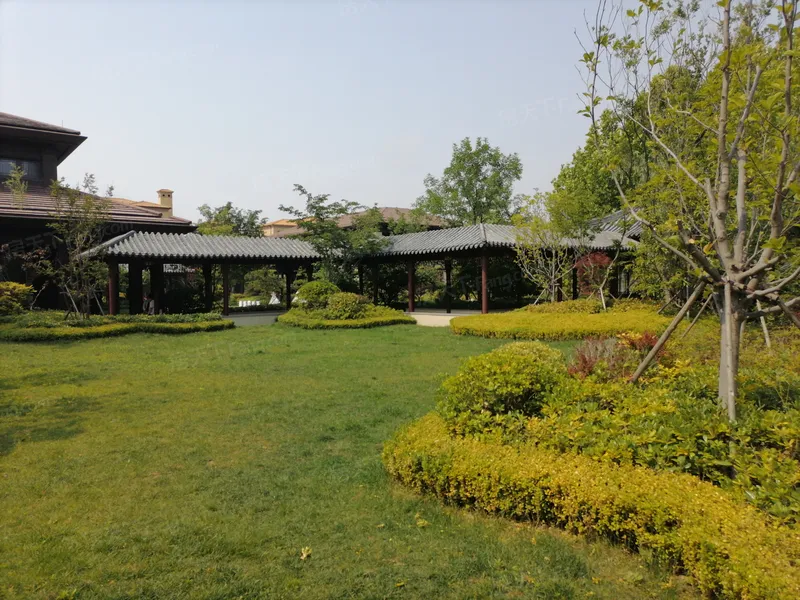 绿城锦棠怎么样,好不好_绿城锦棠评价-青岛房天下