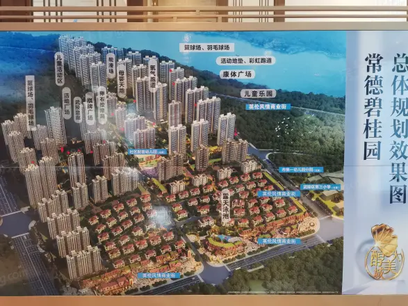 常德碧桂园三期实景图