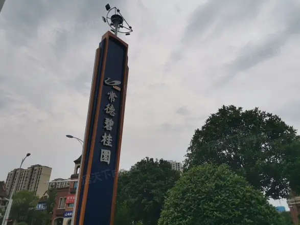 常德碧桂园三期实景图