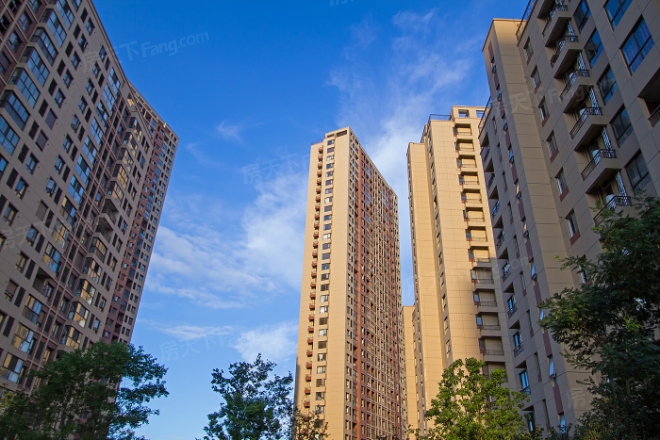 万科魅力花园实景图
