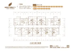 恒大御海天下1室1厅1厨1卫建面50.49㎡