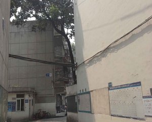 温中家属院 3室1厅 东南