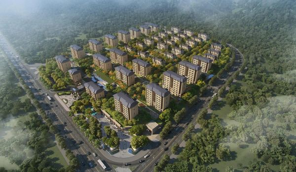 ��ʦ��������ͥ