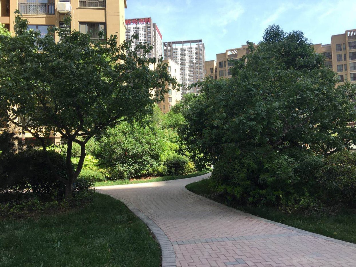  !doctype html>  html>  head>      title> /title>      meta h