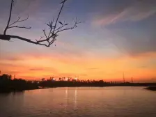 锦绣半岛 4室1厅 南 西南 西