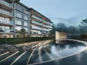大华春山椿树