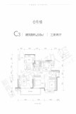 锦麟玖玺6#C3户型