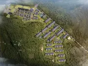 祥源森林之光
