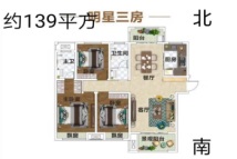 新野建业森林半岛户型5