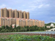 金谷水郡
