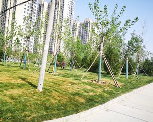 东方丽城南北通透三居室自住装修