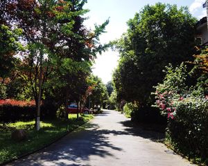 东软青城逸景3室2厅东南