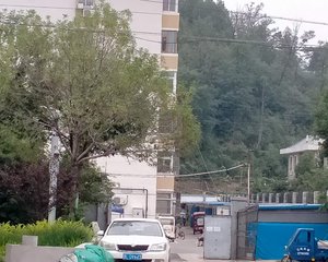 双龙水泥集团南生活区家属楼采光视野好