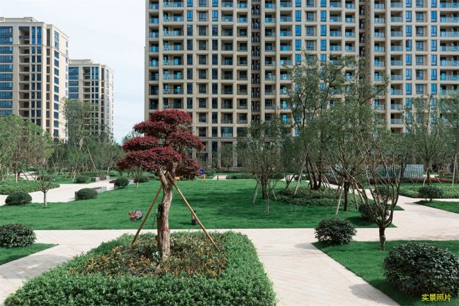 华达·龙都锦城