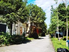 东软青城逸景 3室2厅 东南