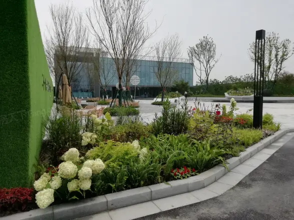 中南印象实景图