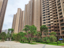 北江新区中轴 鸿安花园 精装三房 看小区花园