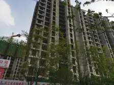 孔雀城公园海 3室2厅 南 北