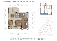 12#地块C2户型