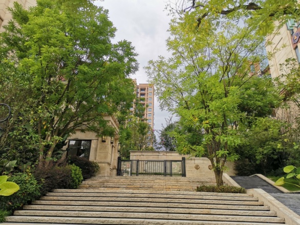 清能小南海花园实景图