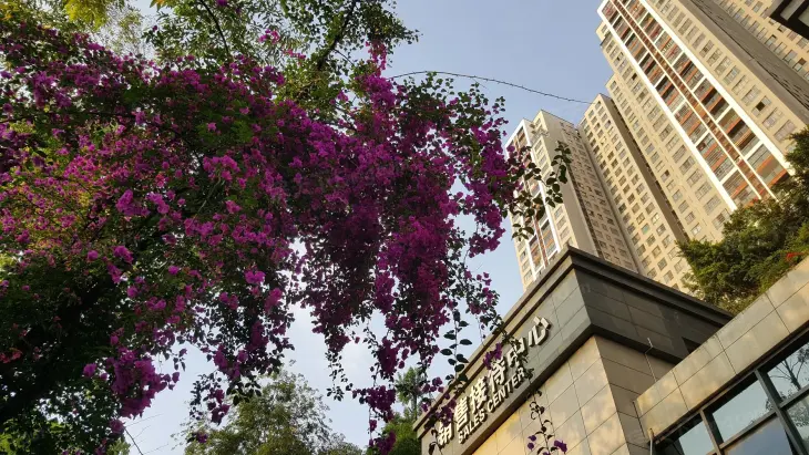 绿城上岛云顶实景图