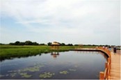 青龙湖湿地