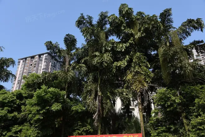 绿城上岛云顶实景图