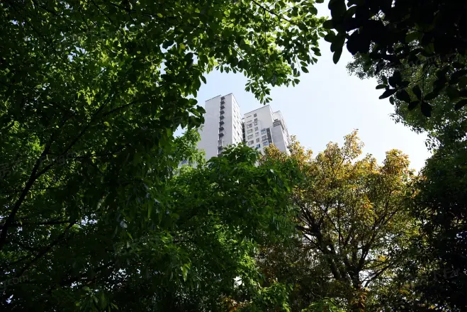 绿城上岛云顶实景图